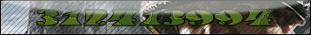 Skif-1346-4