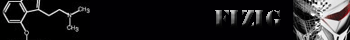 FIZIG