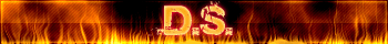 D.S.
