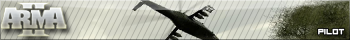 ArmA II