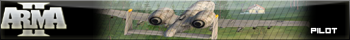 ArmA II